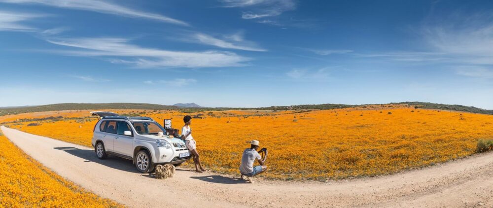 Hình ảnh trải nghiệm mùa hoa xuân ở Nam Phi