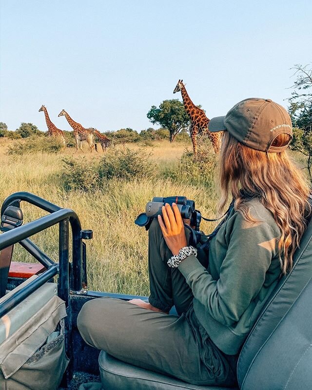 Hình ảnh du khách tham gia safari ở Nam Phi